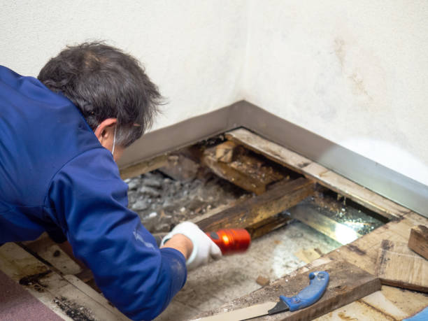 Best Crawl Space Mold Removal  in Crosby, TX