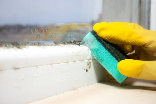Best Mold Testing  in Crosby, TX